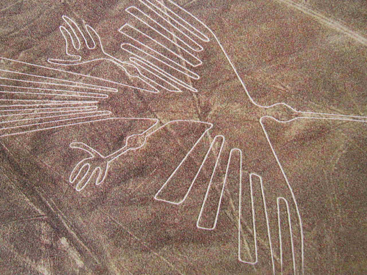 Nazca Lines Orca