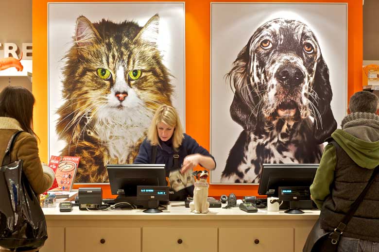 Moustaches concept store magasins pour chiens et chats à Paris