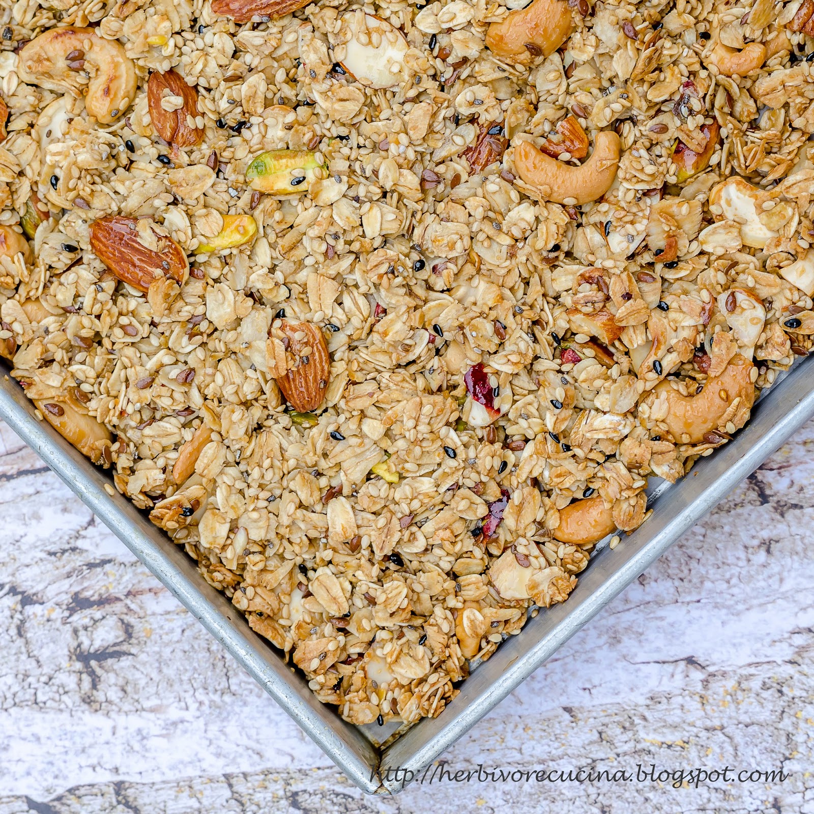 Herbivore Cucina Oats and Dry Fruit Chikki
