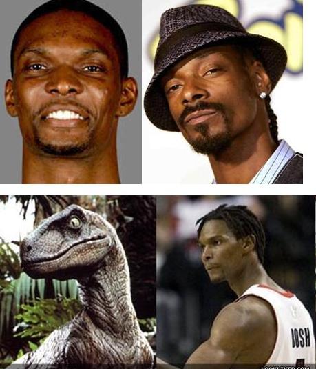 Bosh Snoop