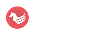 Fans Soccer Indonesia