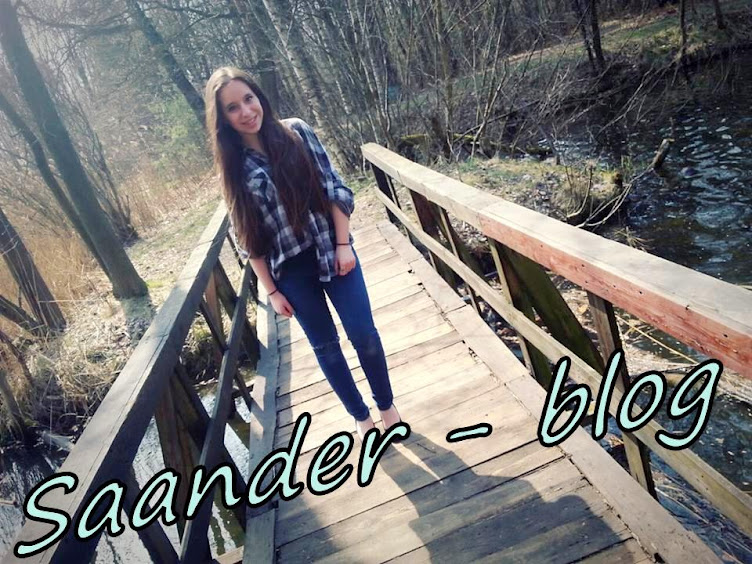 Saander - blog