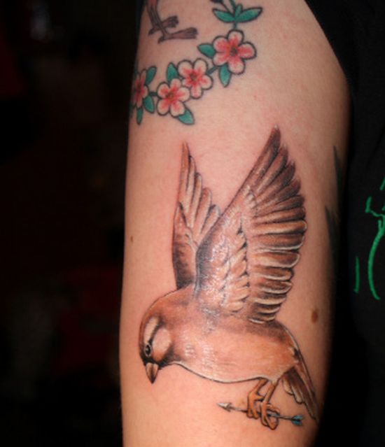bird tattoos. Sparrow Tattoos Designs and