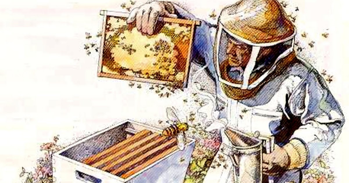 Первый Вибратор С Пчелами