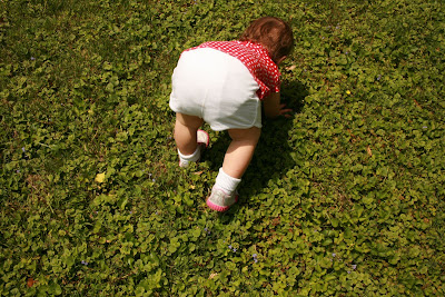 Baby Diapers Rash on Diapers Are Good Good For The Planet And Good For Baby Diaper Rash