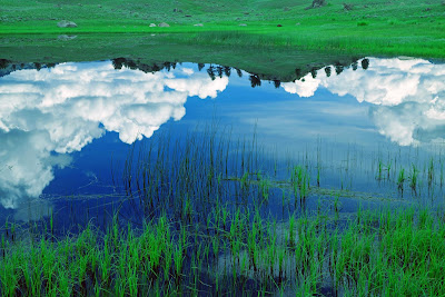 Cool forest wallpapers part 4