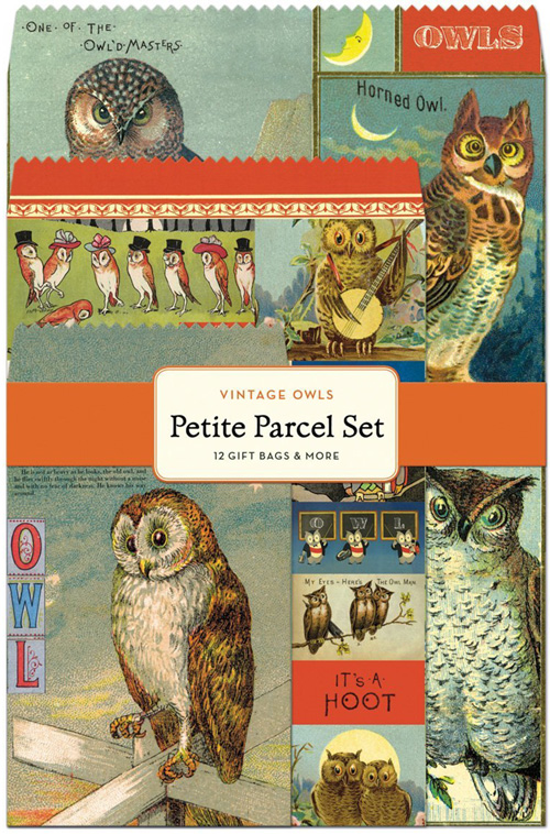 Cavallini 12 Cards Christmas Owl 2 Designs Tin of Glittered Petite Notes 
