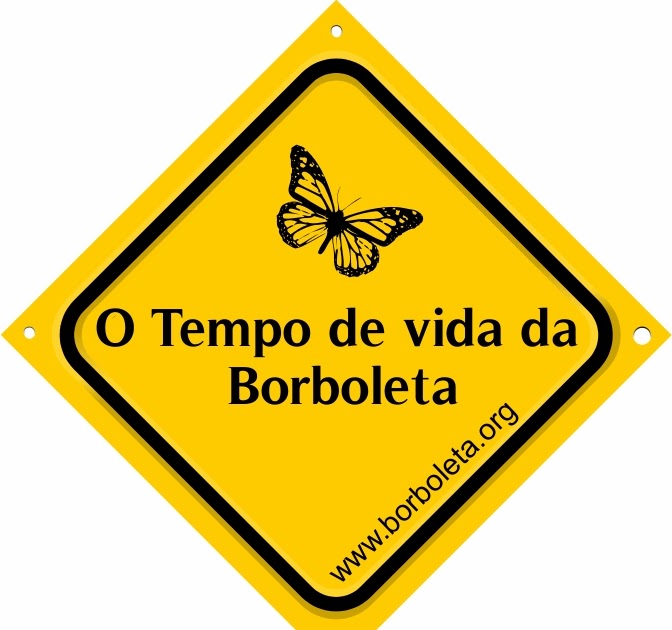 A Vida da Borboleta O Tempo de Vida da Borboleta Tudo Sobre Borboletas