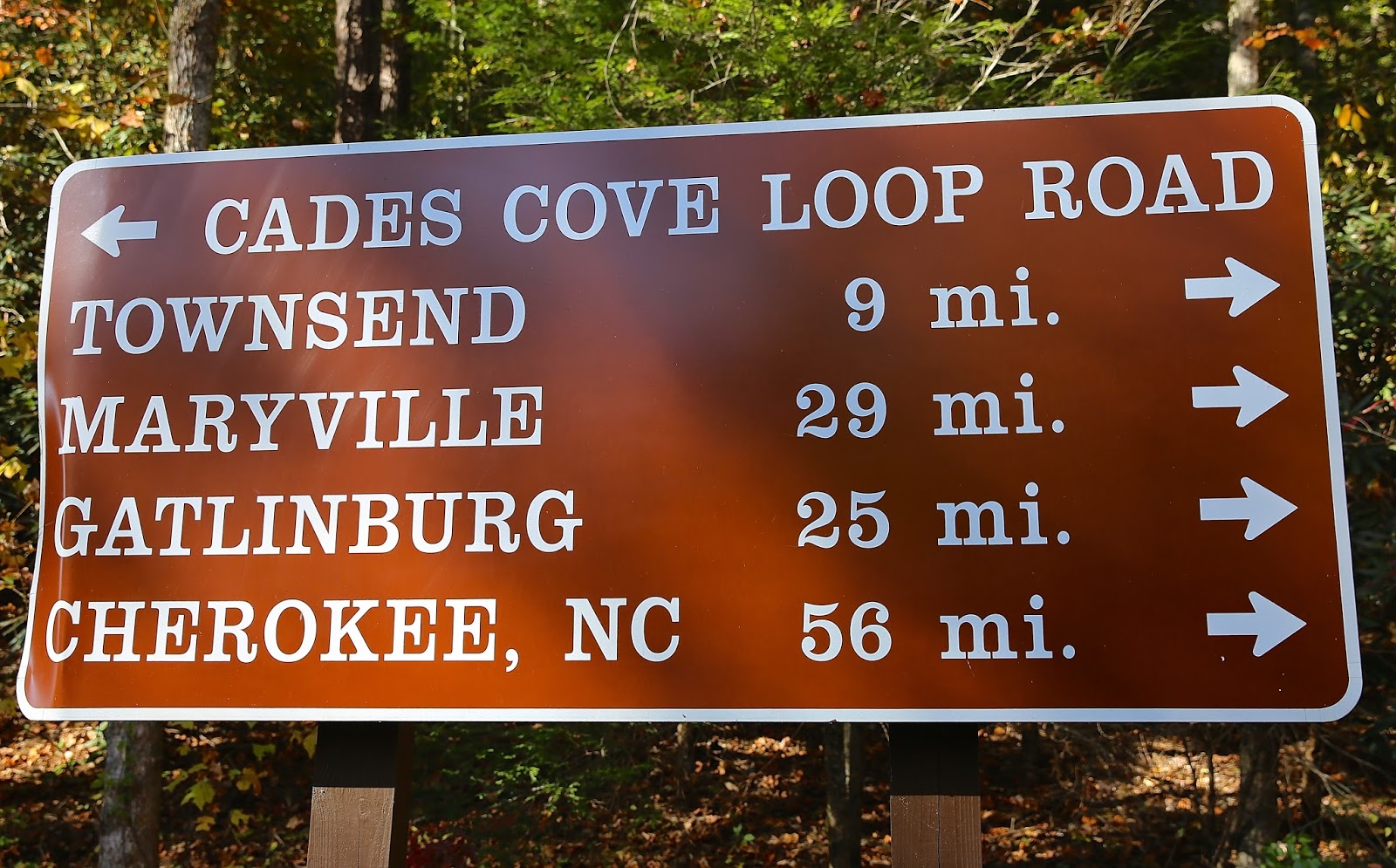 Sweet Southern Days Parson Branch Road In The Great Smoky Mountains