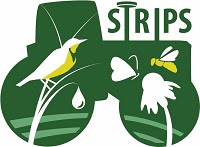 Prairie STRIPS Consulting