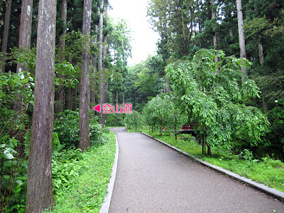 弥彦山　杉木立を進むと登山道入口