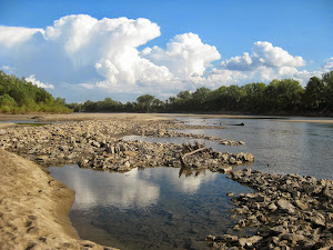 Selected Walk to the River Posts