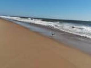 Ocean City MD Vacation Rental, Condo Ocean City Condo, 2 BR Beach Rental