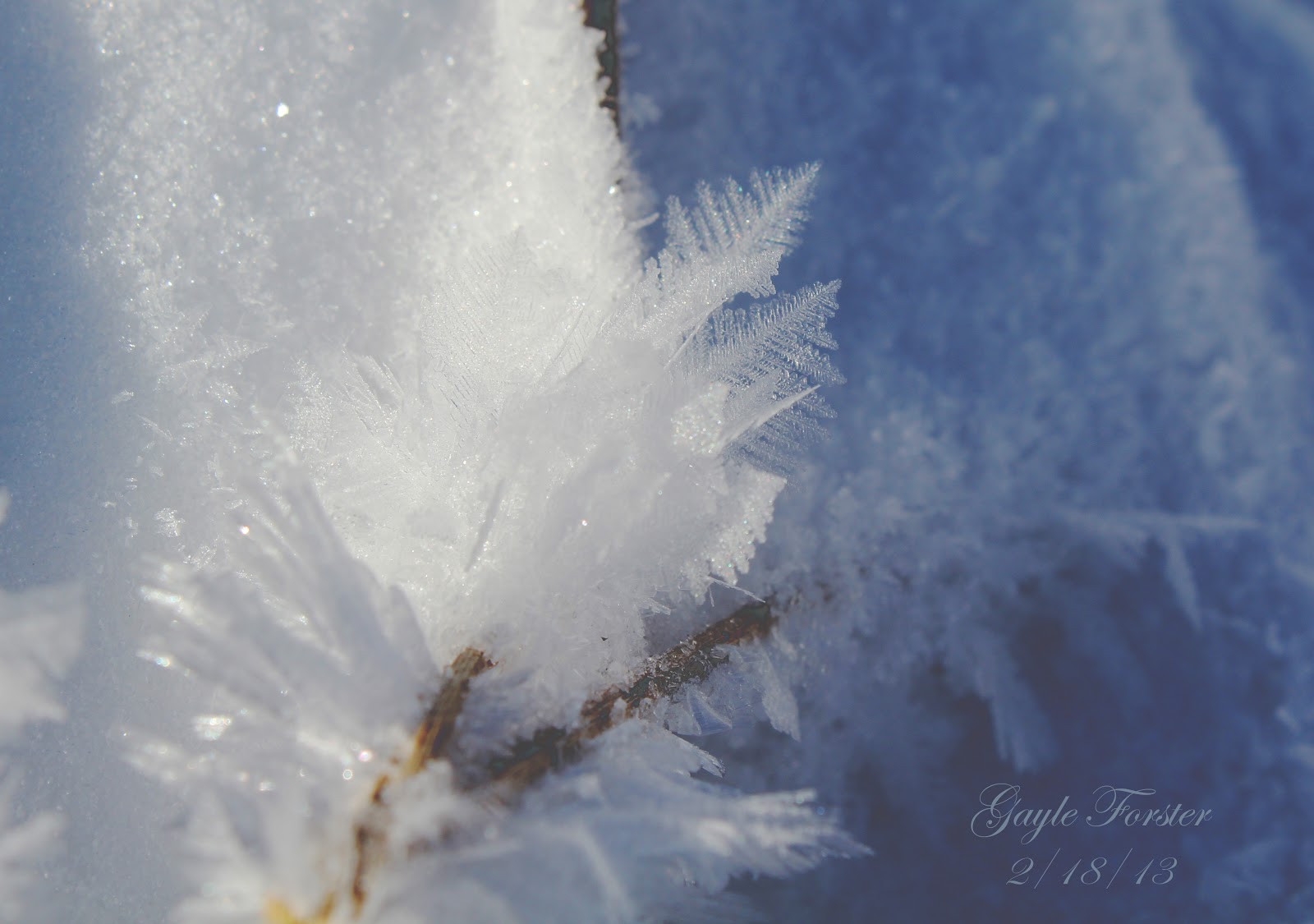 All About Beautiful Moments Snow Feathers