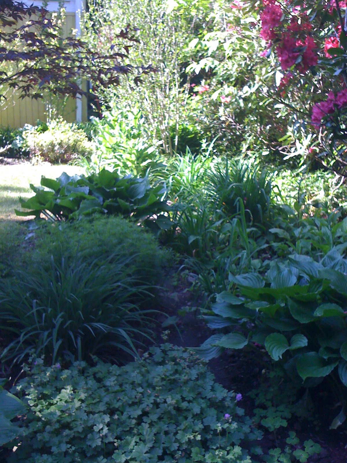 Creative Choices Interior(s): My Back Yard Garden