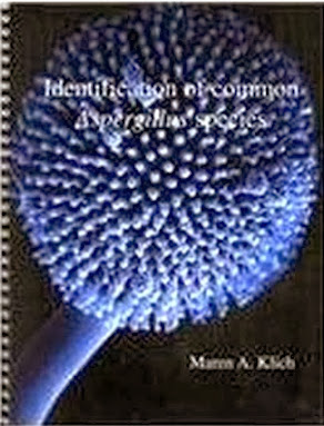 Identification of Common Aspergillus Species - Klich