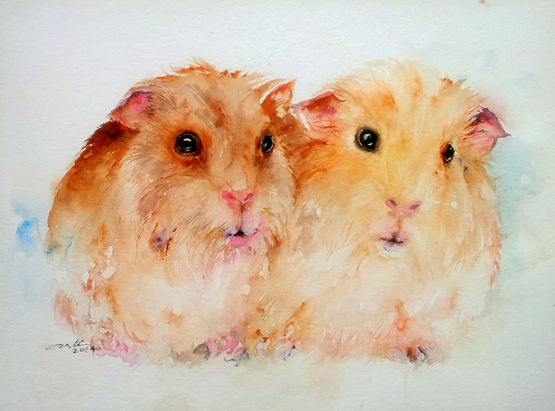 cream of weet guinea pig cream of weet guinea pig
