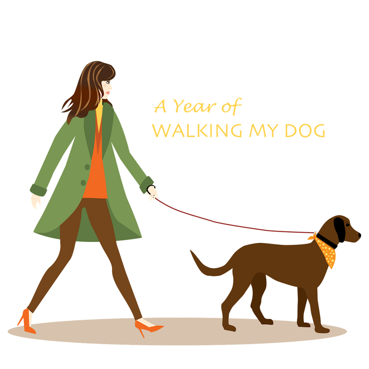 A Year of Walking My Dog