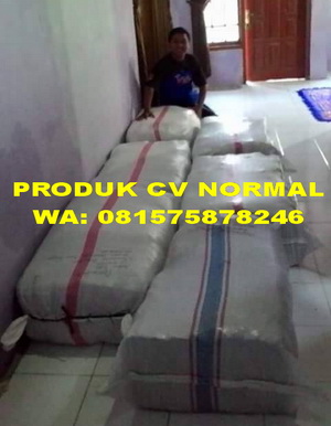 BUKTI PENGIRIMAN CV NORMAL KE PEMBELI