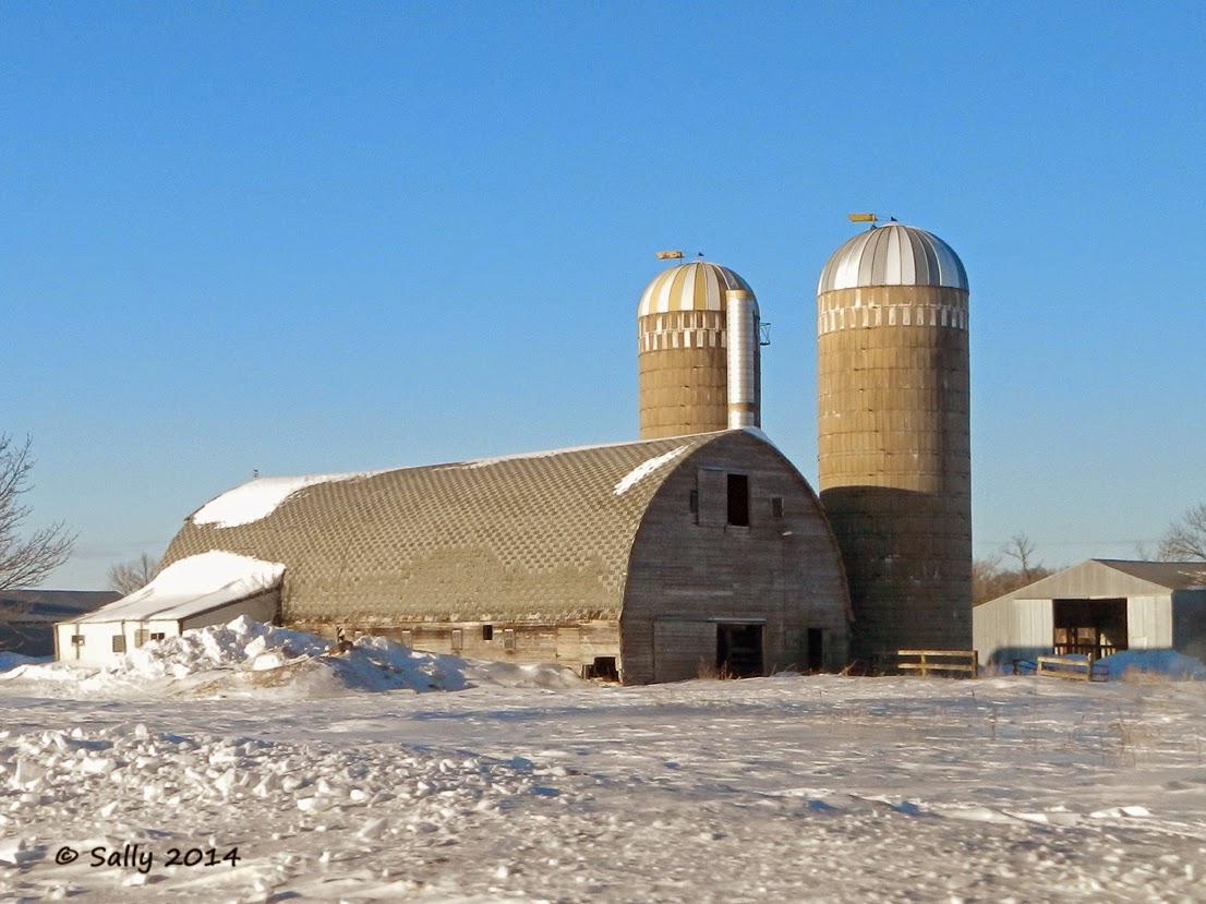Sally Saw... Monday's Barn Gilman, Minnesota