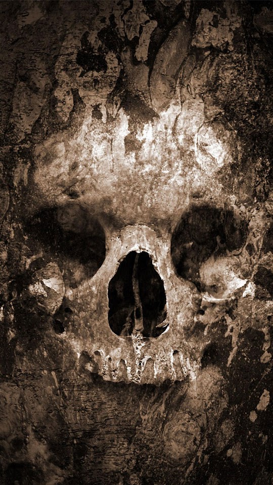   Quake Skull   Galaxy Note HD Wallpaper