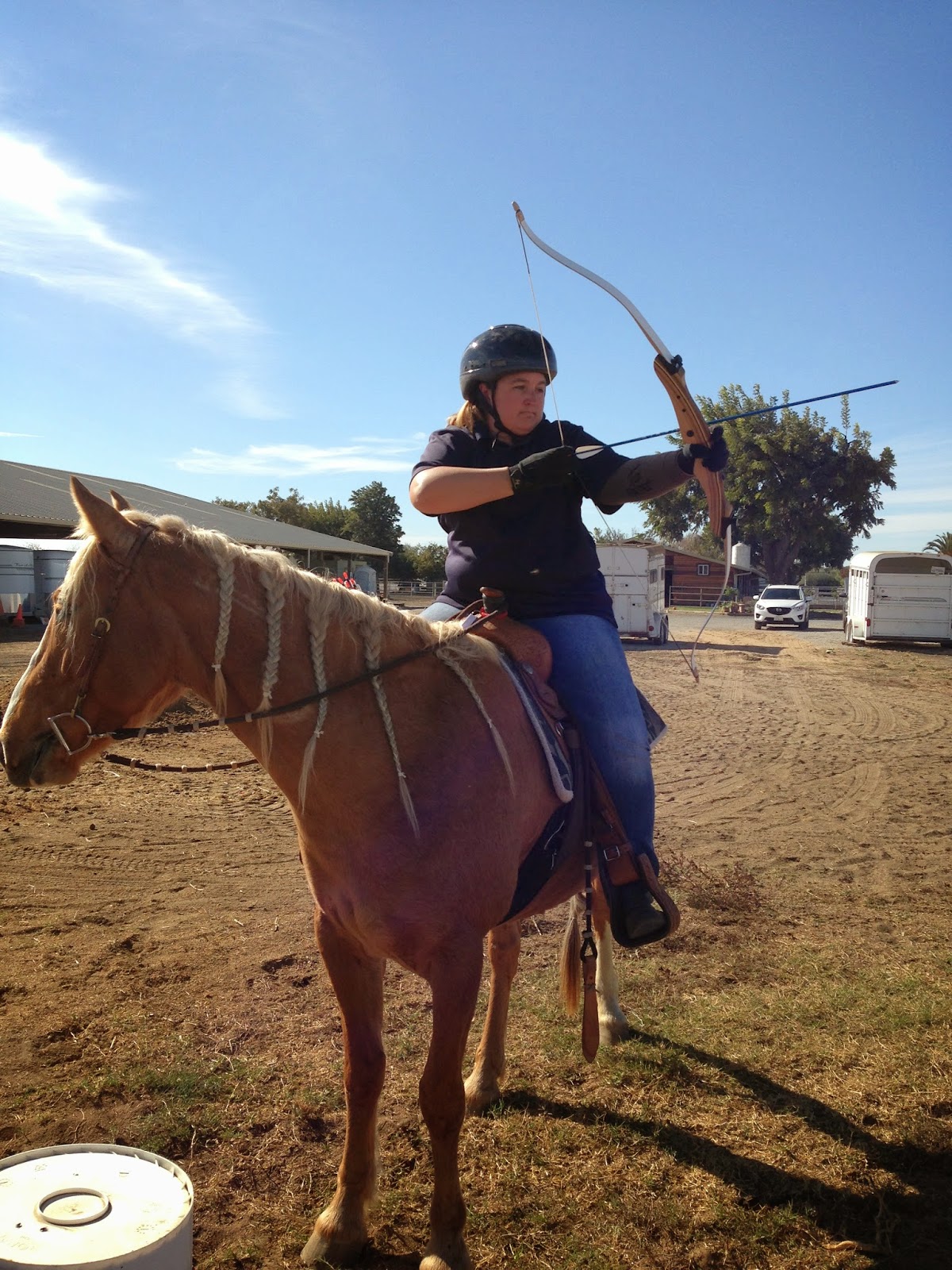 CMC Mustang Training Mounted Archery
