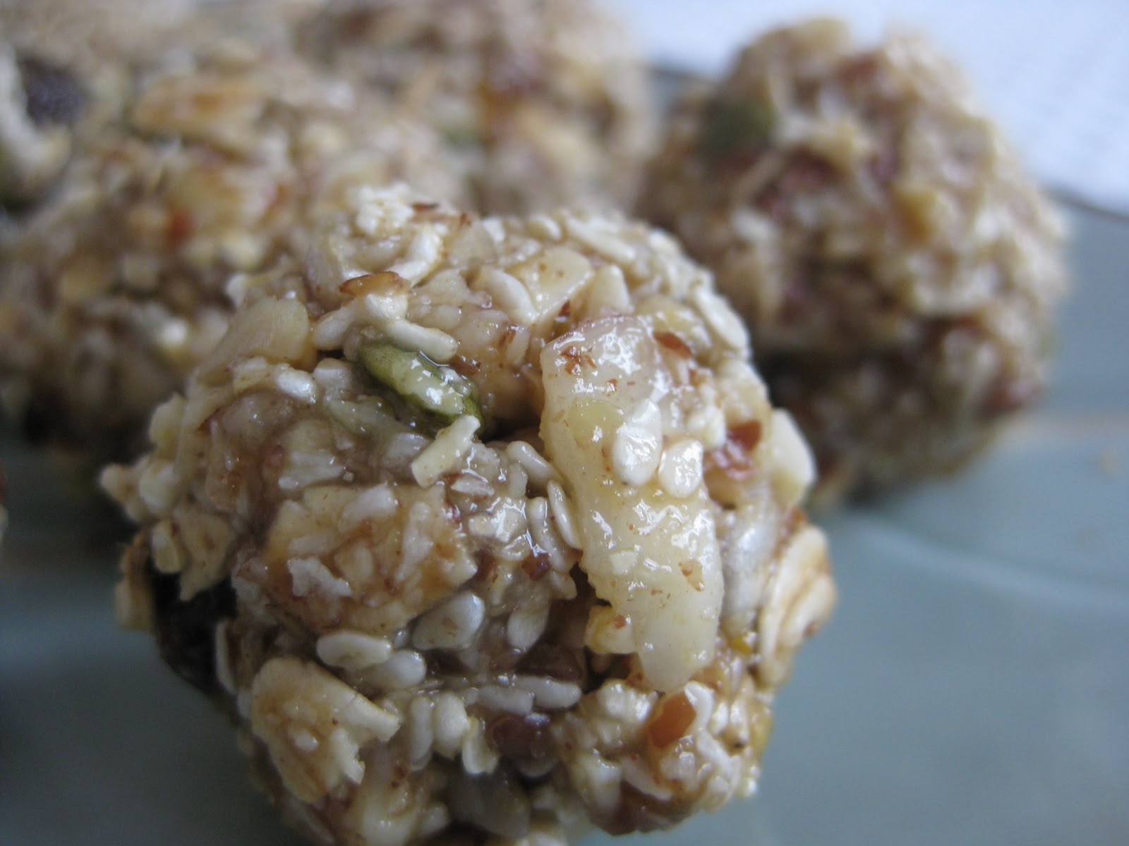 Nut and Seed Balls Lakeside Natural Medicine