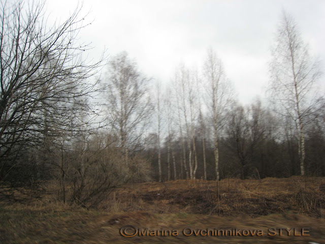 Хохломская роспись.\ Hohlomsky list. Semenov2