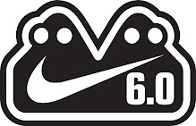 NIKE 6.0 - nike action sports