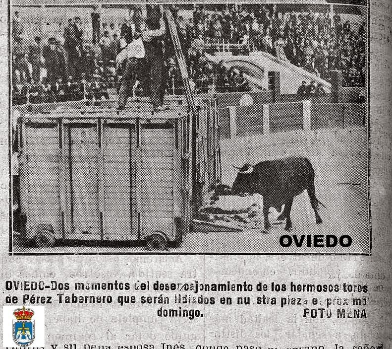 OVIEDO TOROS