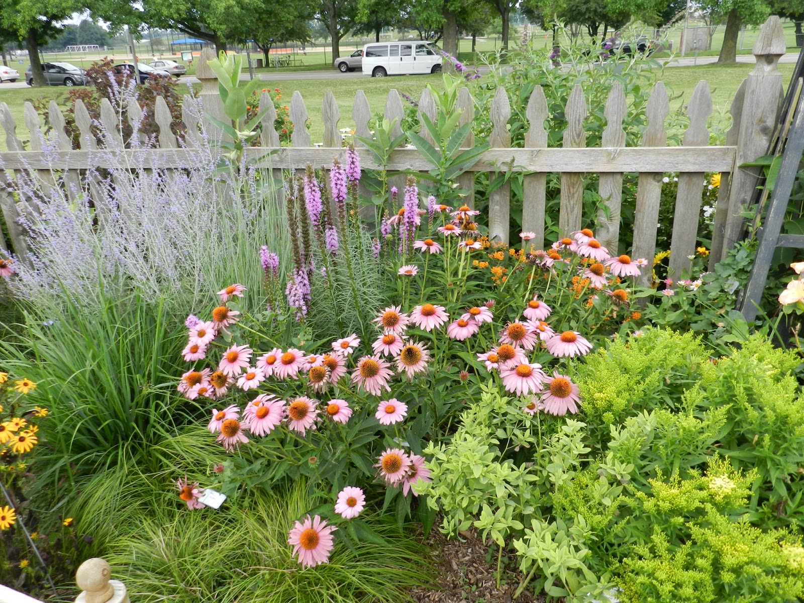 Prairie Rose's Garden: A Tour of the Idea Garden for Wildflower Wednesday