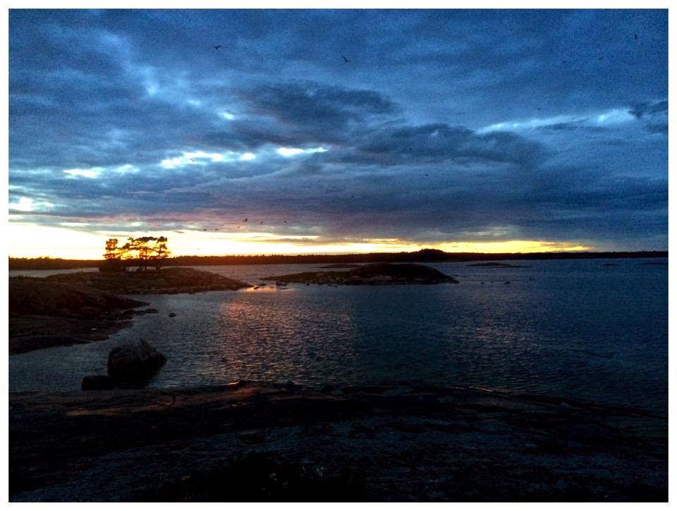 opinion you commit error