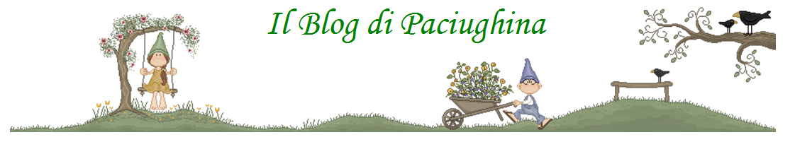 Il Blog di Paciughina