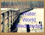 Water World Wednesday