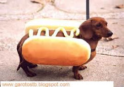 hot dog