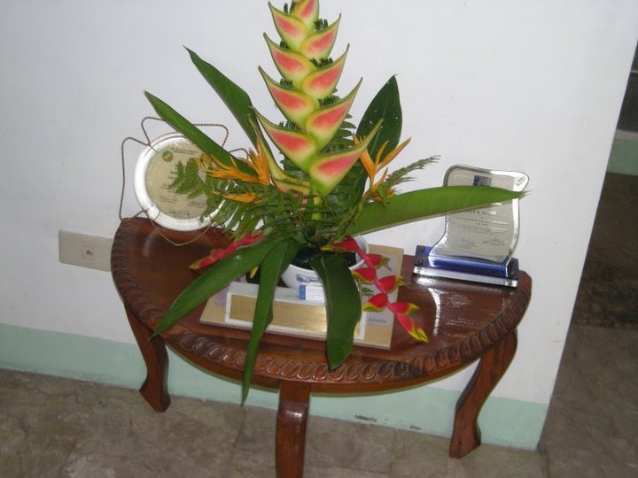 Marinduque My Island Tropical Paradise Flower Arrangement Floristry From My Garden At Chateau Du Mer