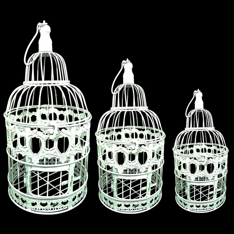 Bird In Everything Bird Cage Ornament