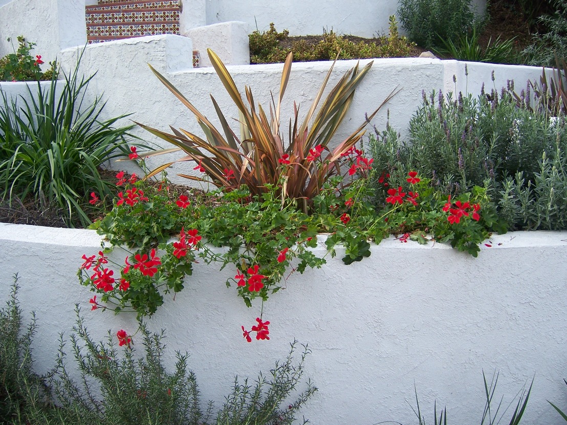 The 2 Minute Gardener Photo Retaining Wall with Stucco Finish