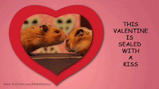 Watch these Tiny Hamsters celebrate Valentine's Day with a kiss and a date in Venice via geniushowto.blogspot.com cute pet videos
