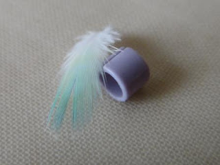 Budgie Feather and Leg Ring Keepsake