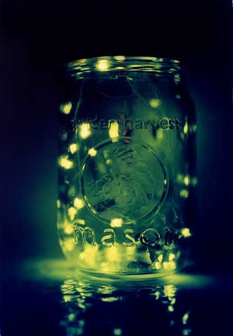 Green Barnhouse Art Girlie Girl Catch Fireflies In A Mason Jar