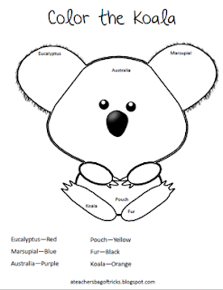 Koala Pattern