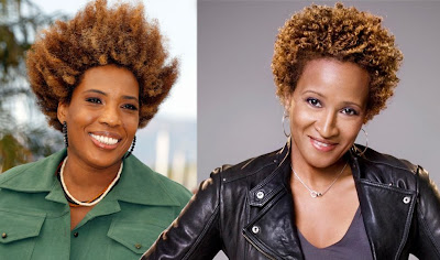 Macy Gray and Wanda Sykes are the same person