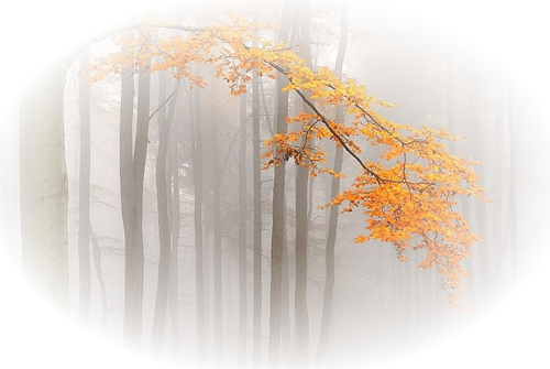 temalik manzara resimleri