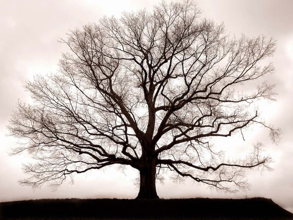 Chic Mummy Looking towards a brighter 2015