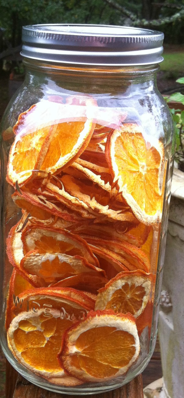 Nifty Thrifty Bits Dehydrating Oranges