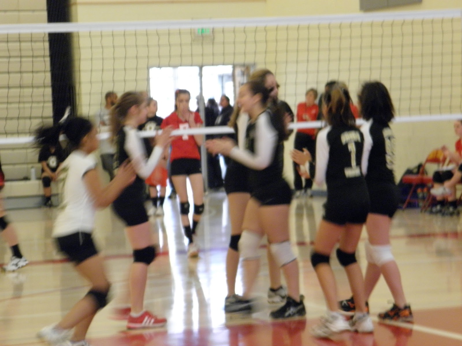 Spandex Shorts Volleyball