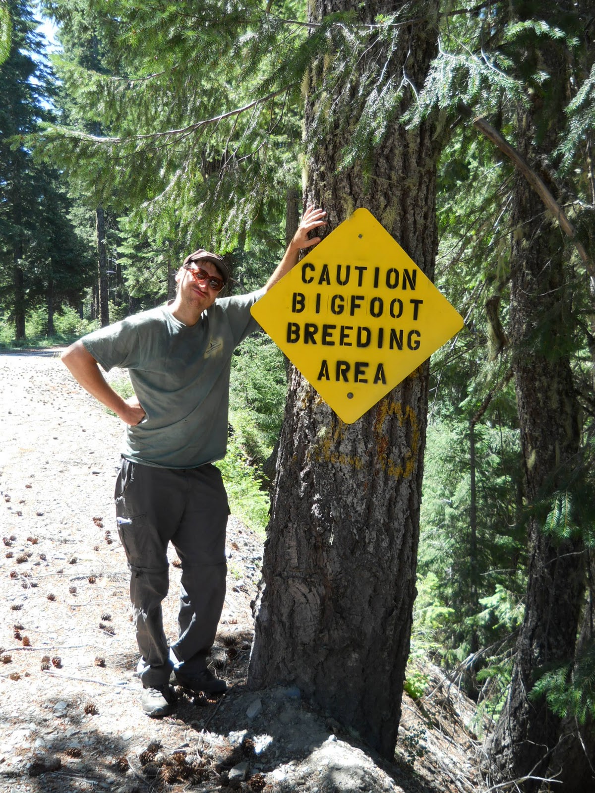 Bigfoot Patterson Film
