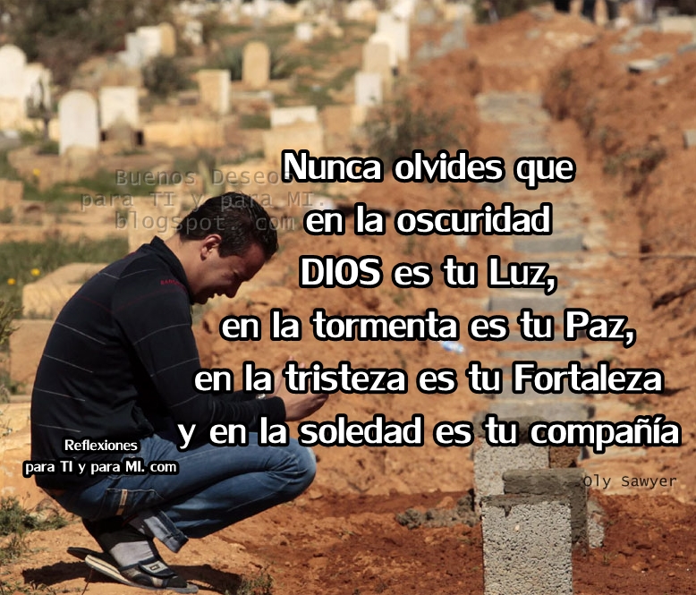 Ver las imágenes de origen