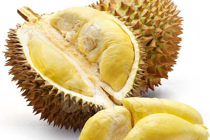 7 Sifat Buah Durian yang Harus Ditiru